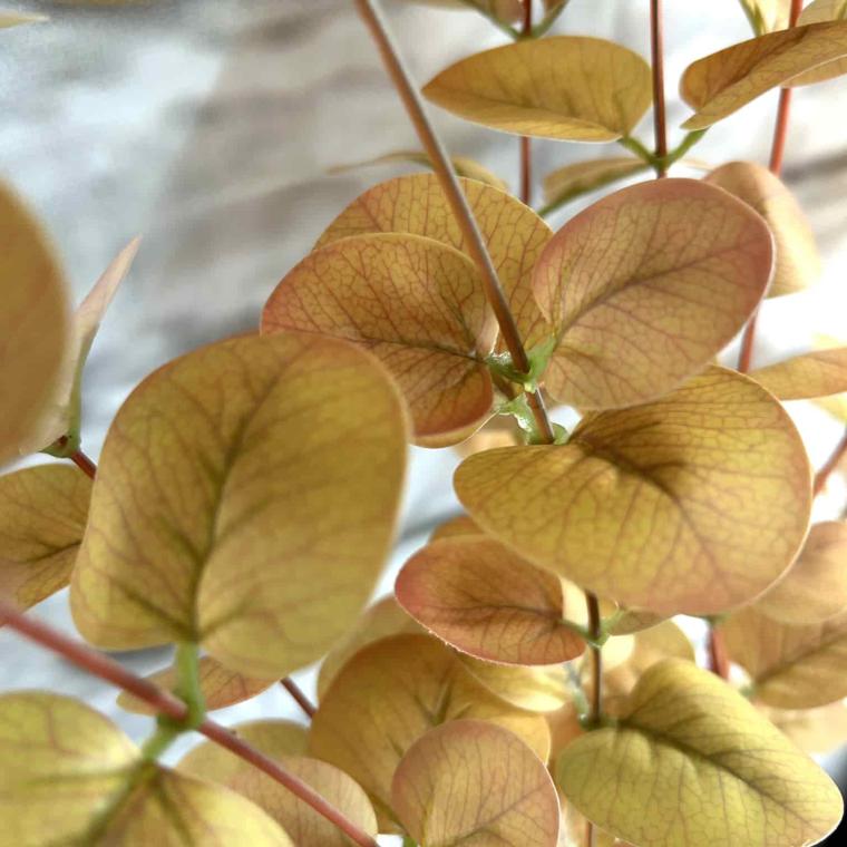 Загружен программно: img_3781.jpg