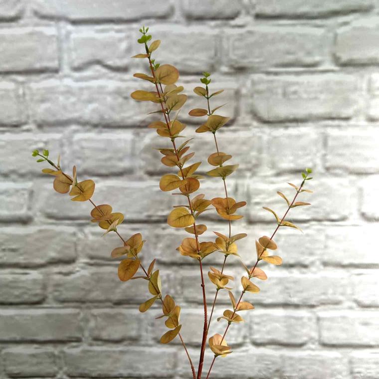 Загружен программно: img_3782.jpg