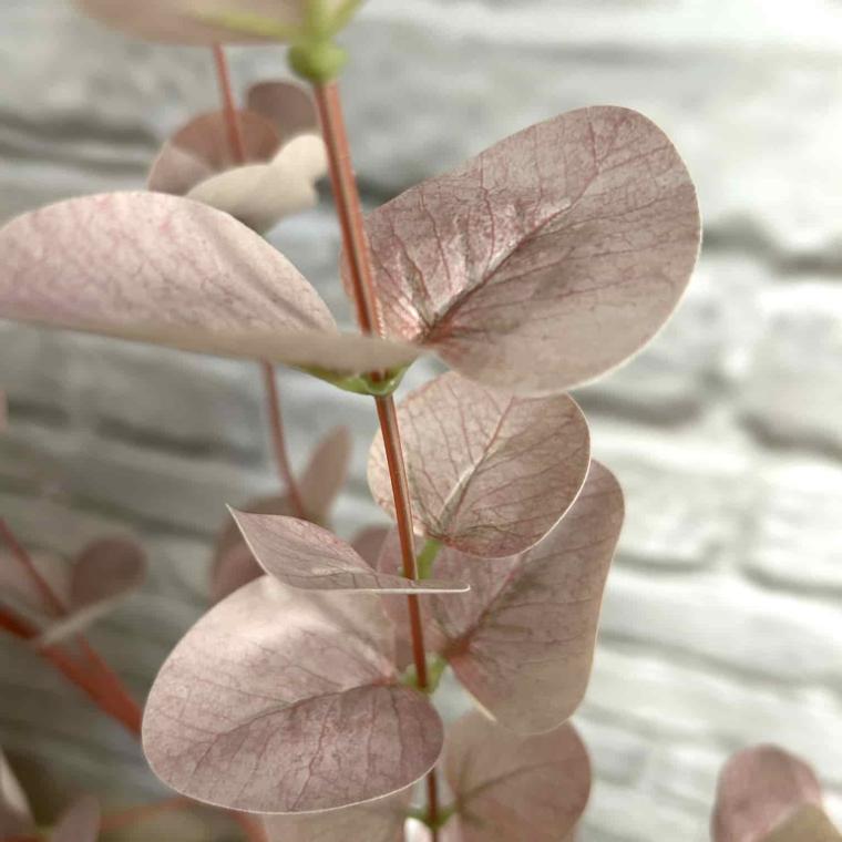 Загружен программно: img_3784.jpg