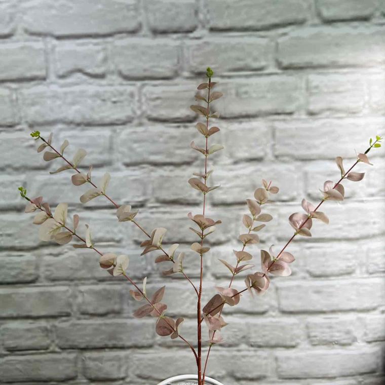 Загружен программно: img_3785.jpg