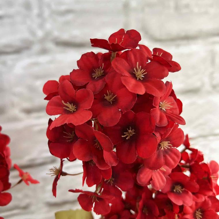 Загружен программно: img_3877.jpg