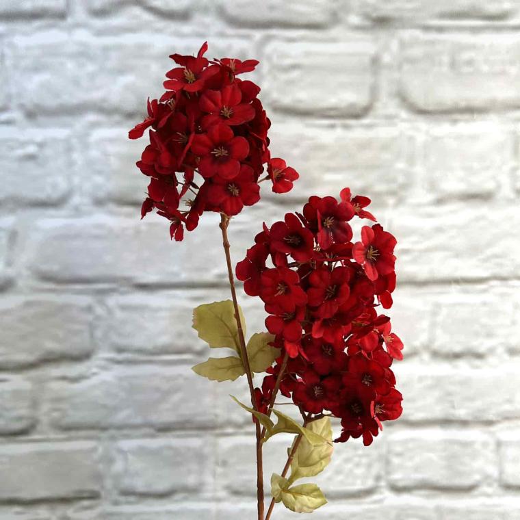 Загружен программно: img_3878.jpg