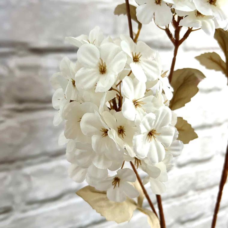 Загружен программно: img_3883.jpg