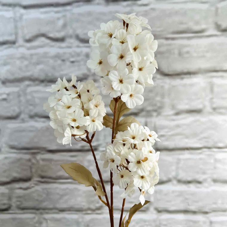 Загружен программно: img_3884.jpg