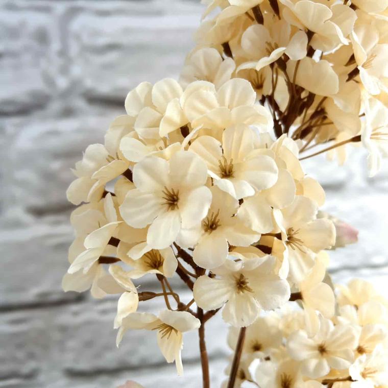 Загружен программно: img_3886.jpg