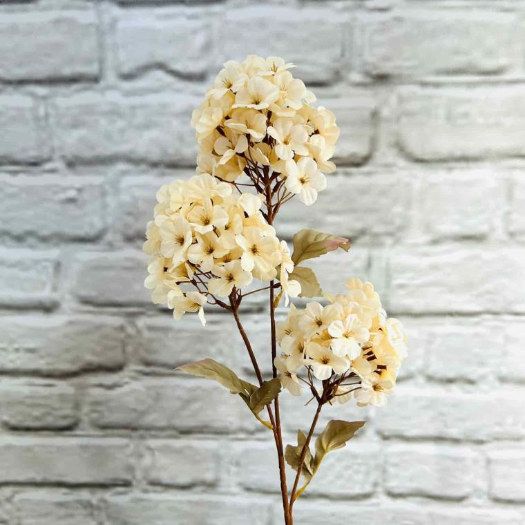 Загружен программно: img_3887.jpg