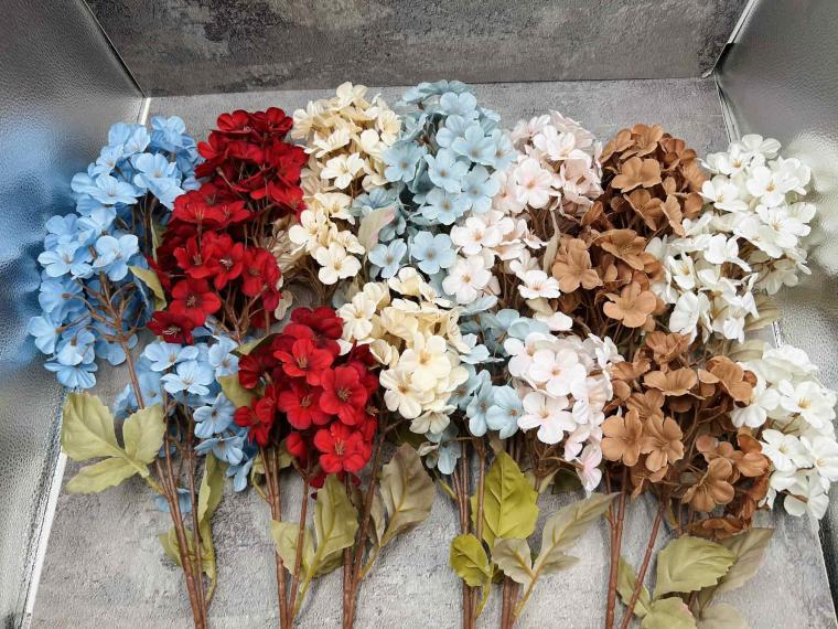 Загружен программно: img_3908_1.jpg