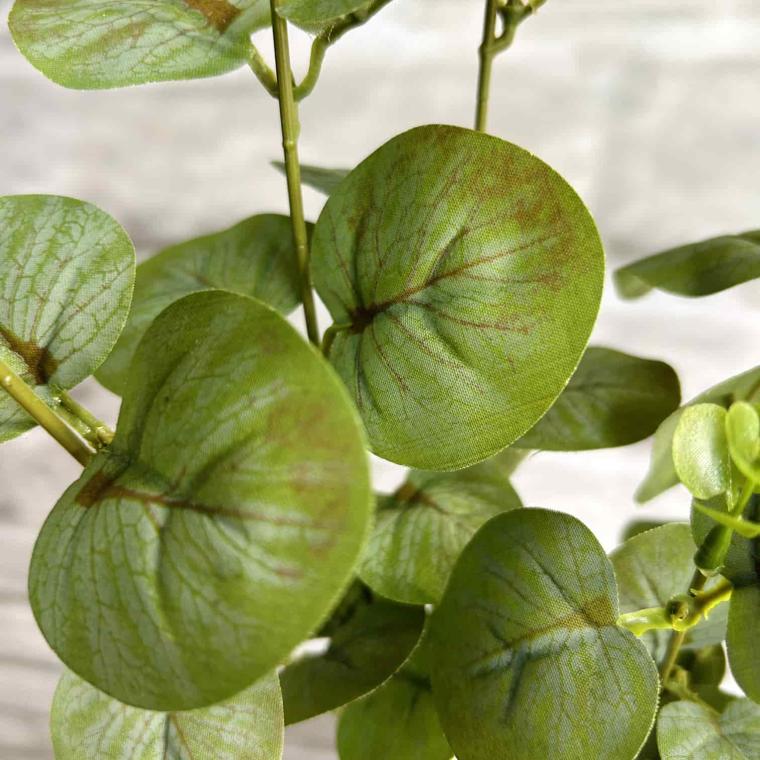 Загружен программно: img_3953.jpg