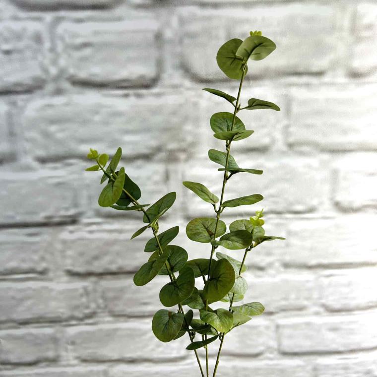 Загружен программно: img_3954.jpg