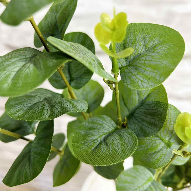 Загружен программно: img_3959.jpg