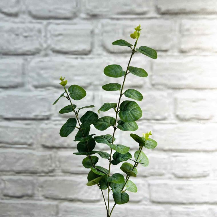 Загружен программно: img_3960.jpg