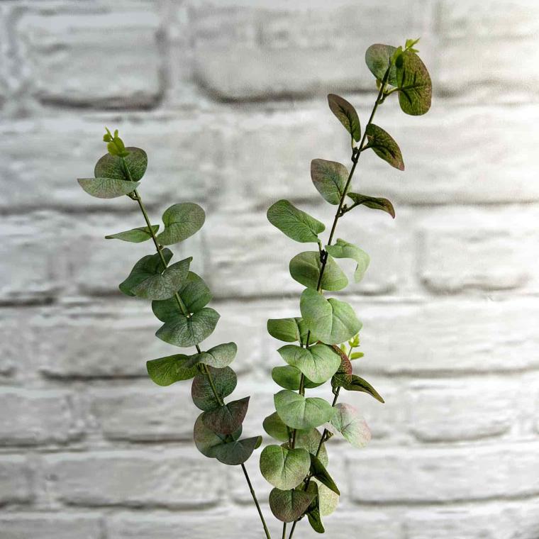 Загружен программно: img_3964.jpg