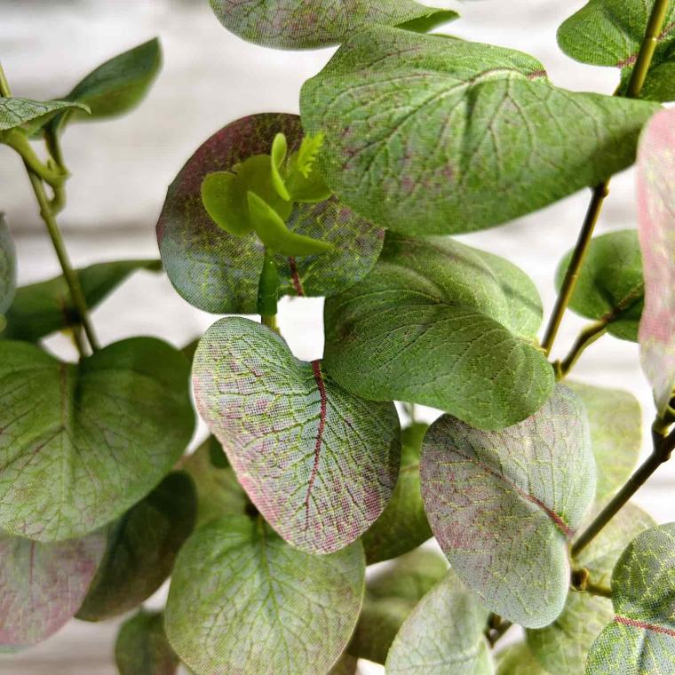 Загружен программно: img_3965.jpg