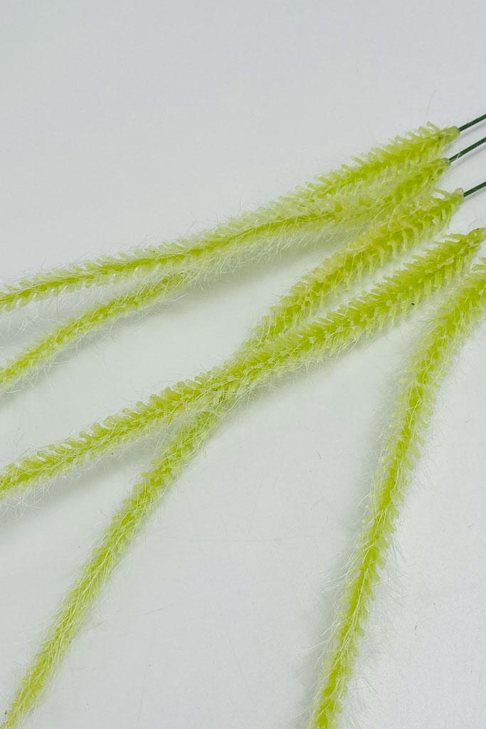 Загружен программно: img_3982.jpg