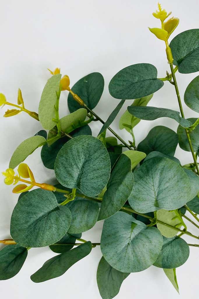 Загружен программно: img_3986.jpg