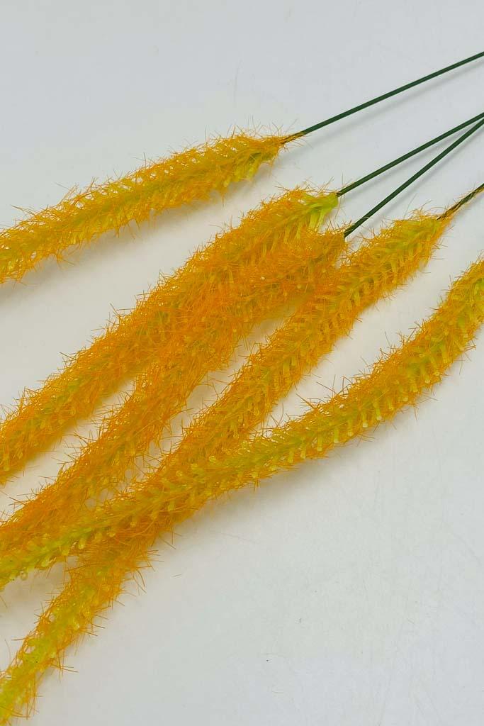 Загружен программно: img_3992.jpg