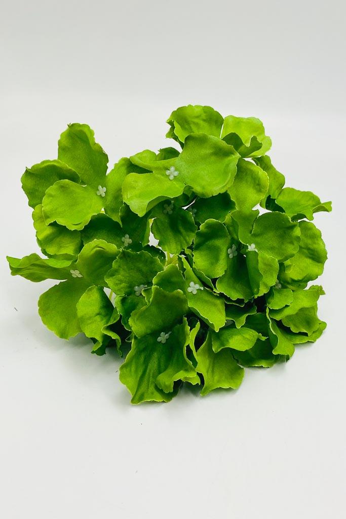 Загружен программно: img_4019_0.jpg