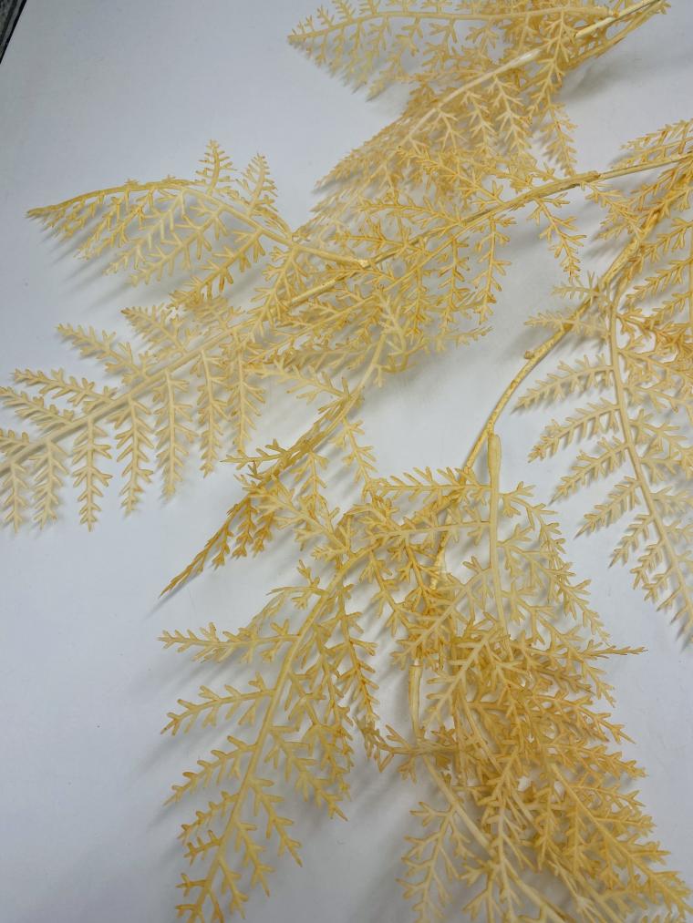 Загружен программно: img_4117.jpg