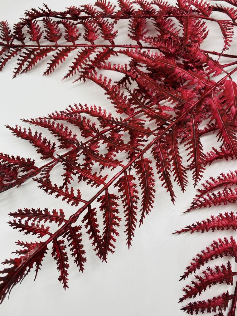 Загружен программно: img_4123.jpg