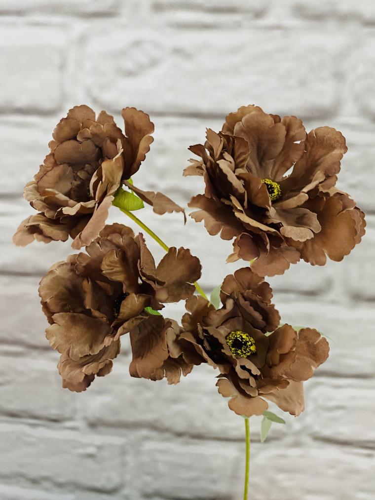 Загружен программно: img_4127.jpg