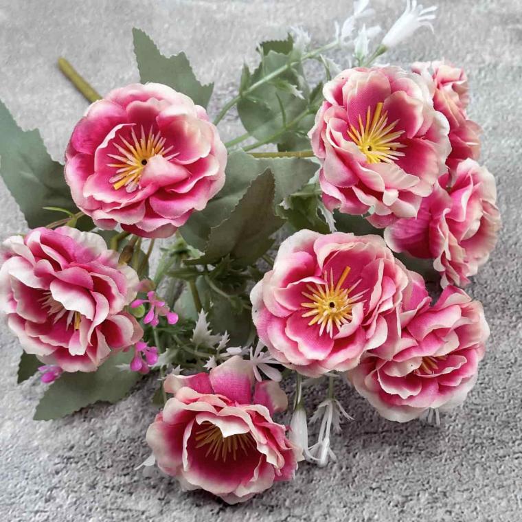 Загружен программно: img_4620.jpg