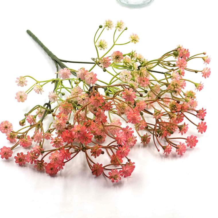 Загружен программно: img_4639.jpg