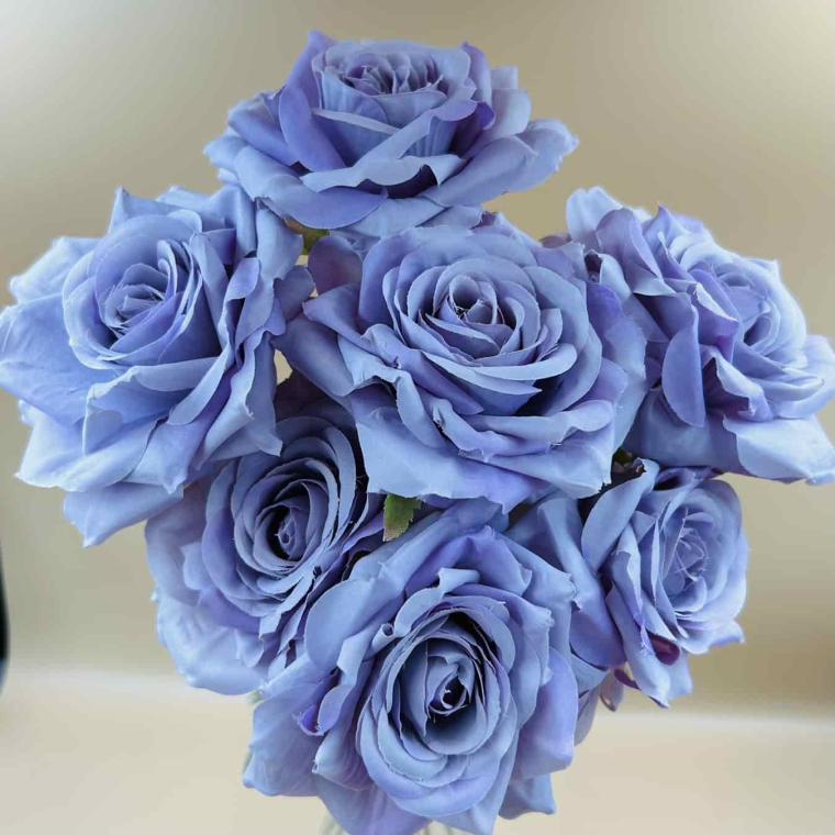 Загружен программно: img_4763.jpg