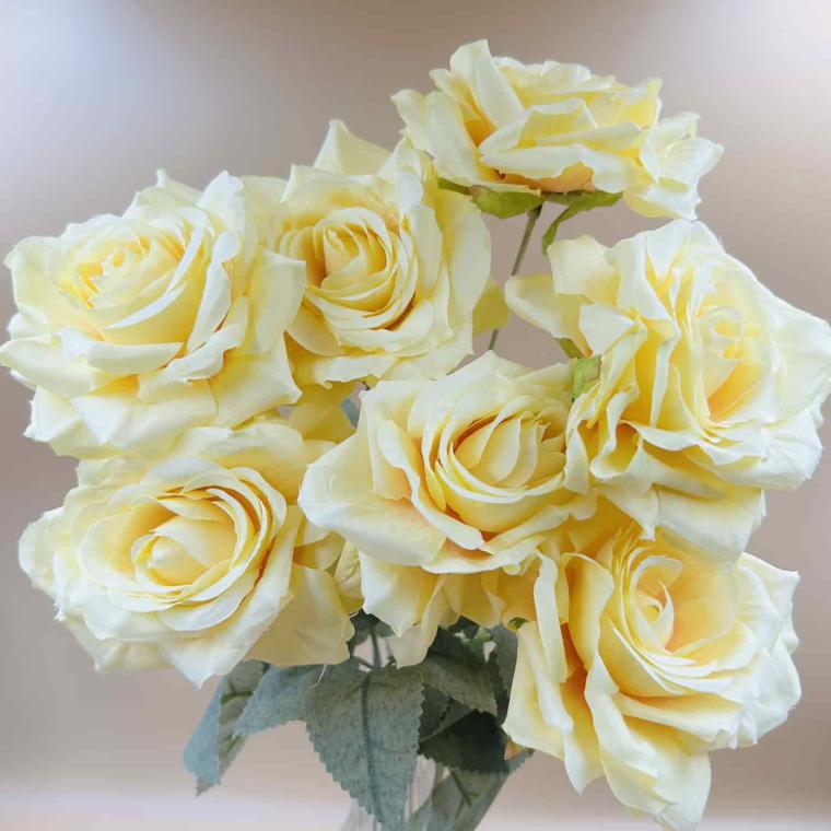 Загружен программно: img_4765.jpg