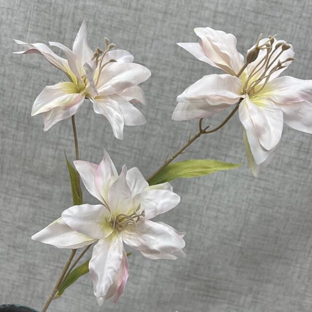 Загружен программно: img_5608.jpeg