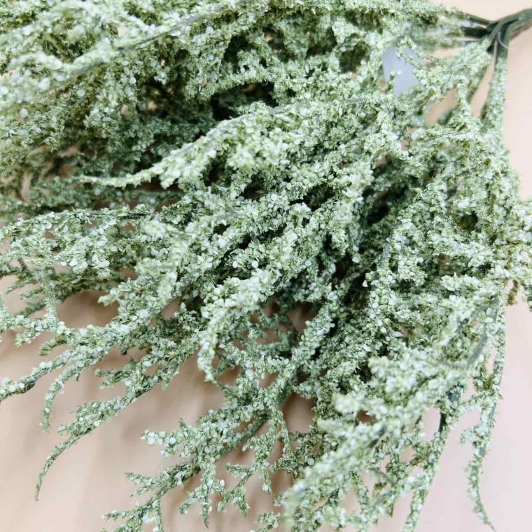 Загружен программно: img_5721.jpg