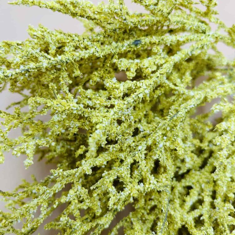 Загружен программно: img_5738.jpg