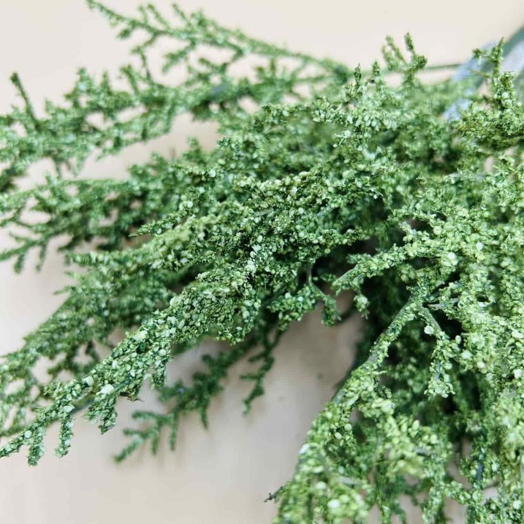 Загружен программно: img_5747.jpg