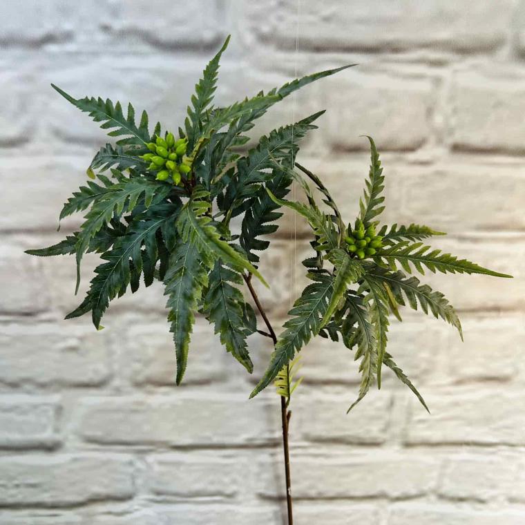 Загружен программно: img_5764.jpg