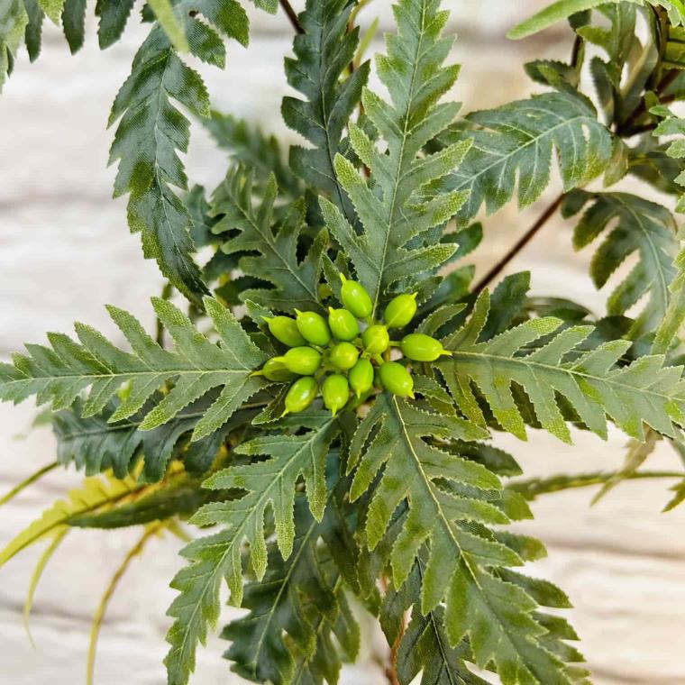 Загружен программно: img_5765.jpg