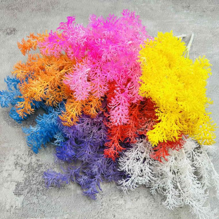 Загружен программно: img_5966_5_0.jpg