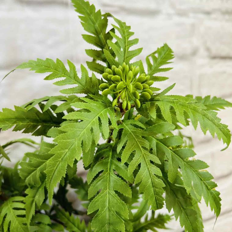 Загружен программно: img_5970.jpg