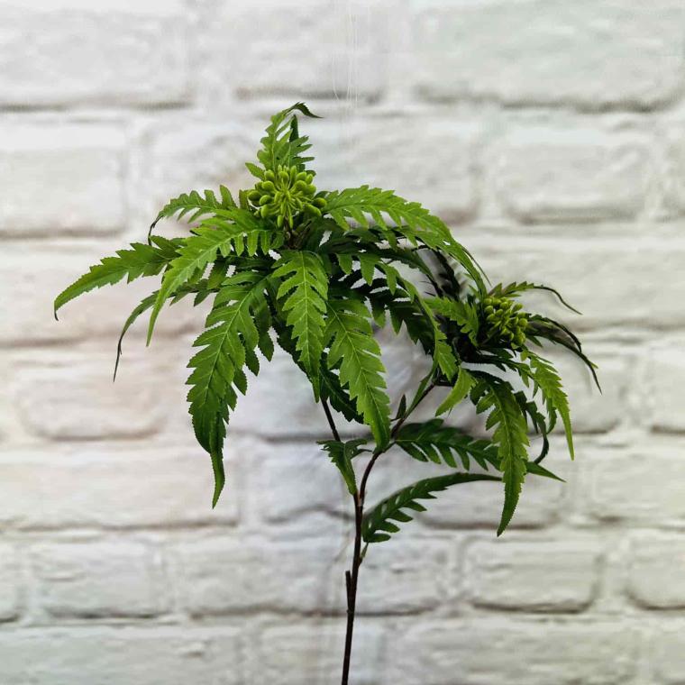 Загружен программно: img_5972.jpg