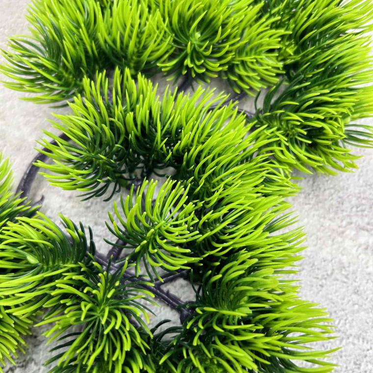 Загружен программно: img_6003.jpg