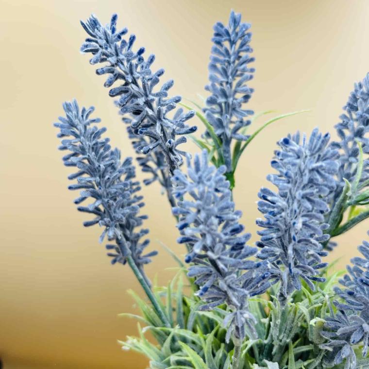 Загружен программно: img_6025.jpg