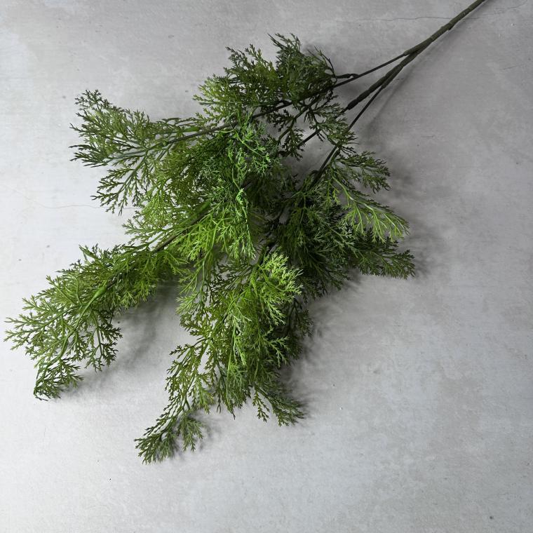 Загружен программно: img_6186.jpeg