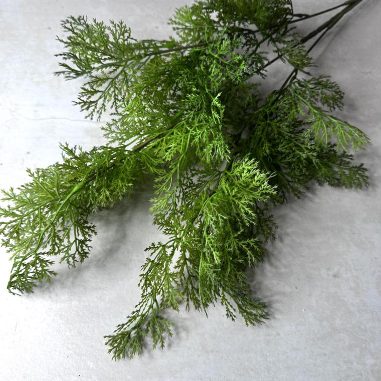 Загружен программно: img_6188_0.jpeg