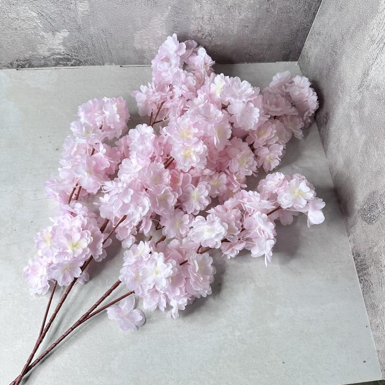 Загружен программно: img_6201.jpeg