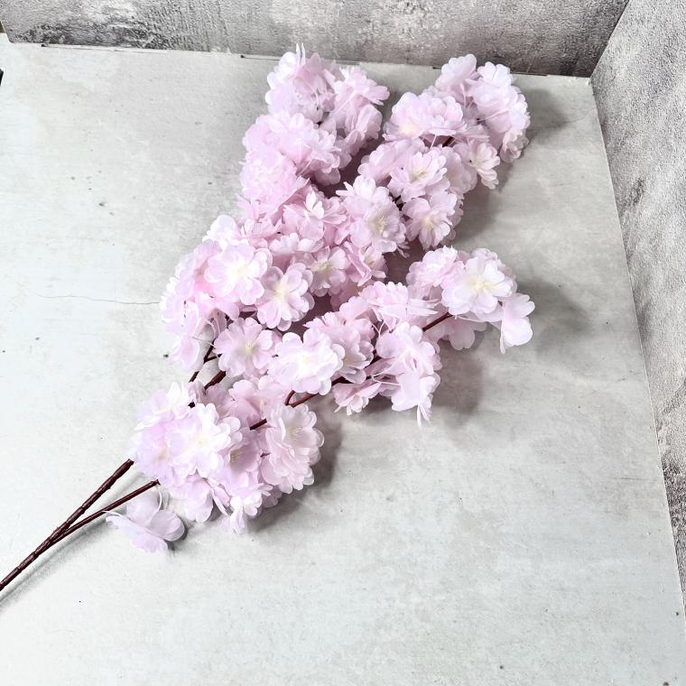 Загружен программно: img_6205.jpeg