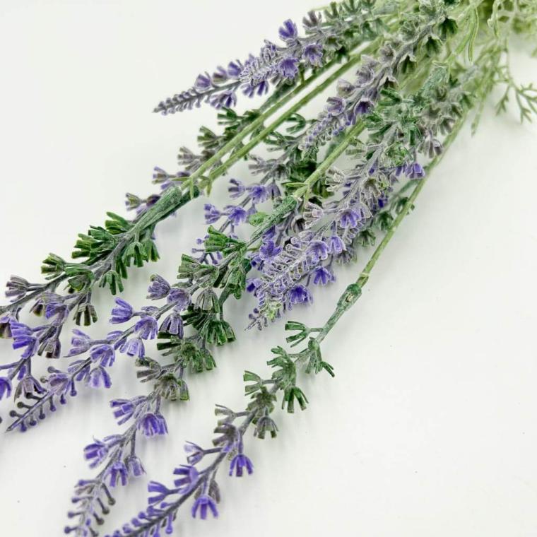 Загружен программно: img_6480.jpg