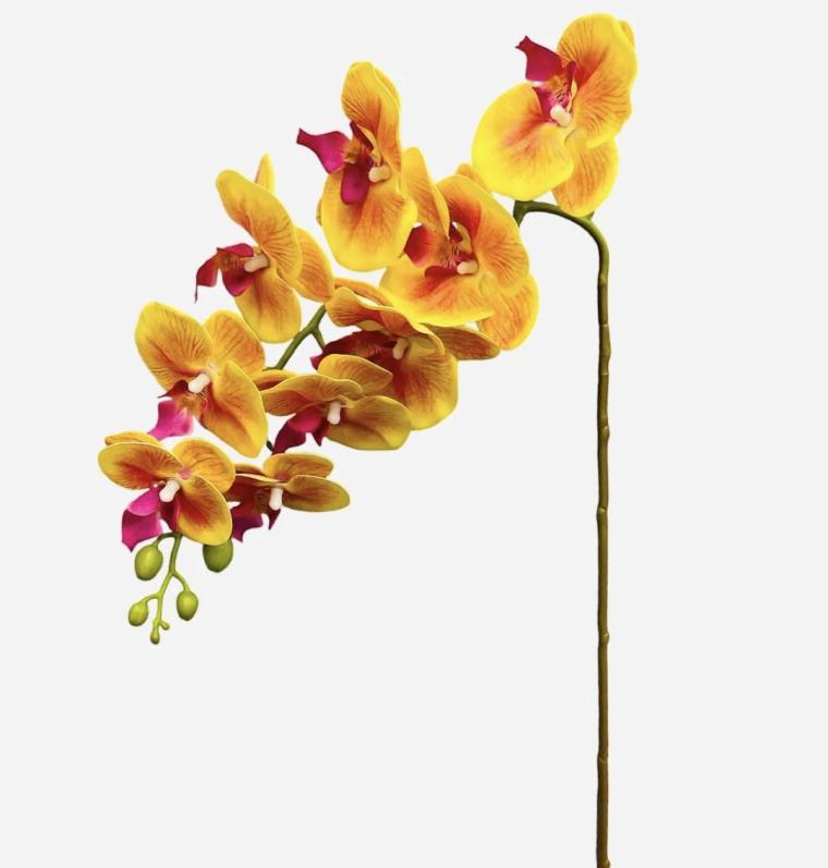 Загружен программно: img_6482.jpeg