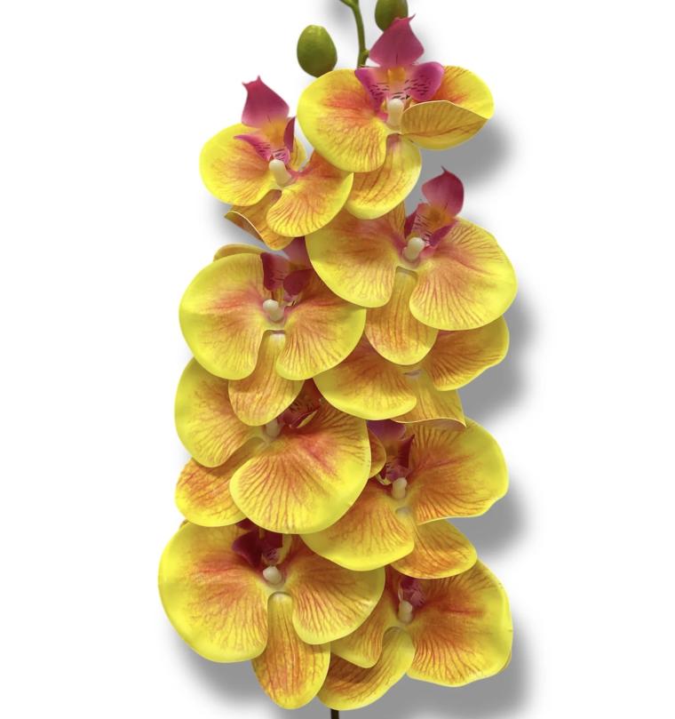 Загружен программно: img_6483.jpeg