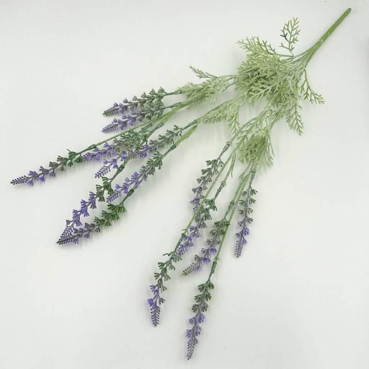 Загружен программно: img_6485.jpg