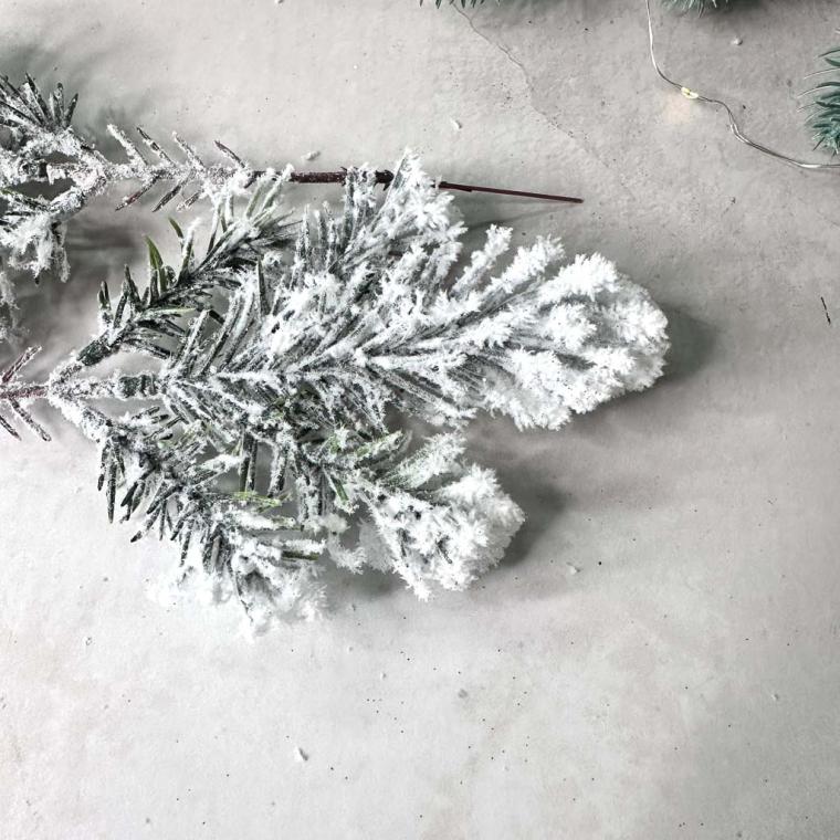 Загружен программно: img_6667.jpg