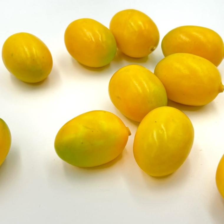 Загружен программно: img_6751.jpeg