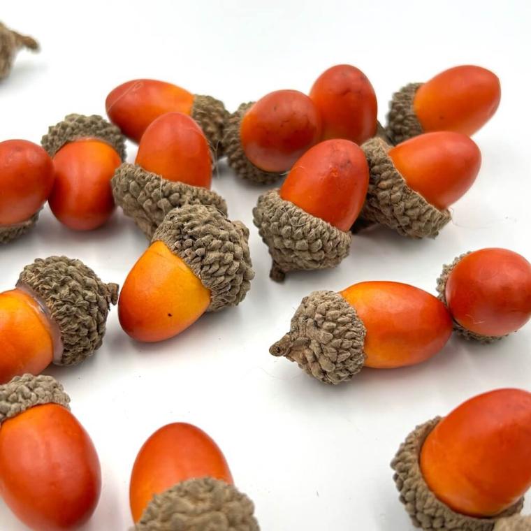 Загружен программно: img_6766.jpeg